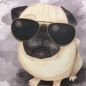 Meet your Posher, Lu